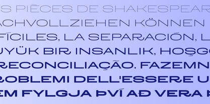 Larga Sans Low Font Poster 3